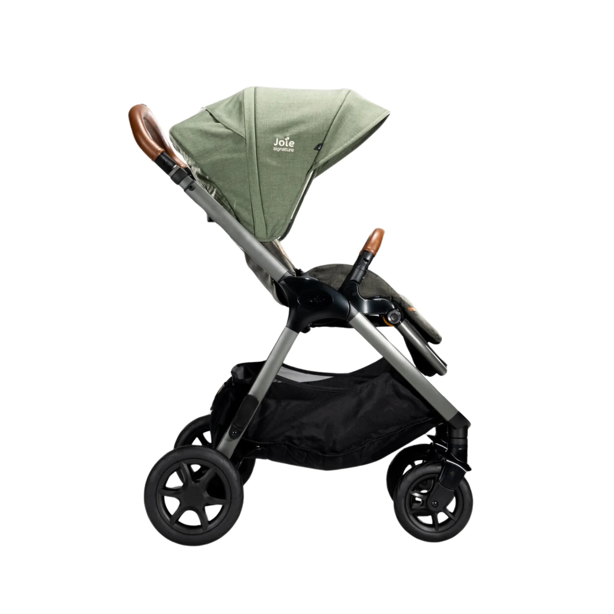 ⁦JOIE Finiti Pine⁩ - الصورة ⁦2⁩