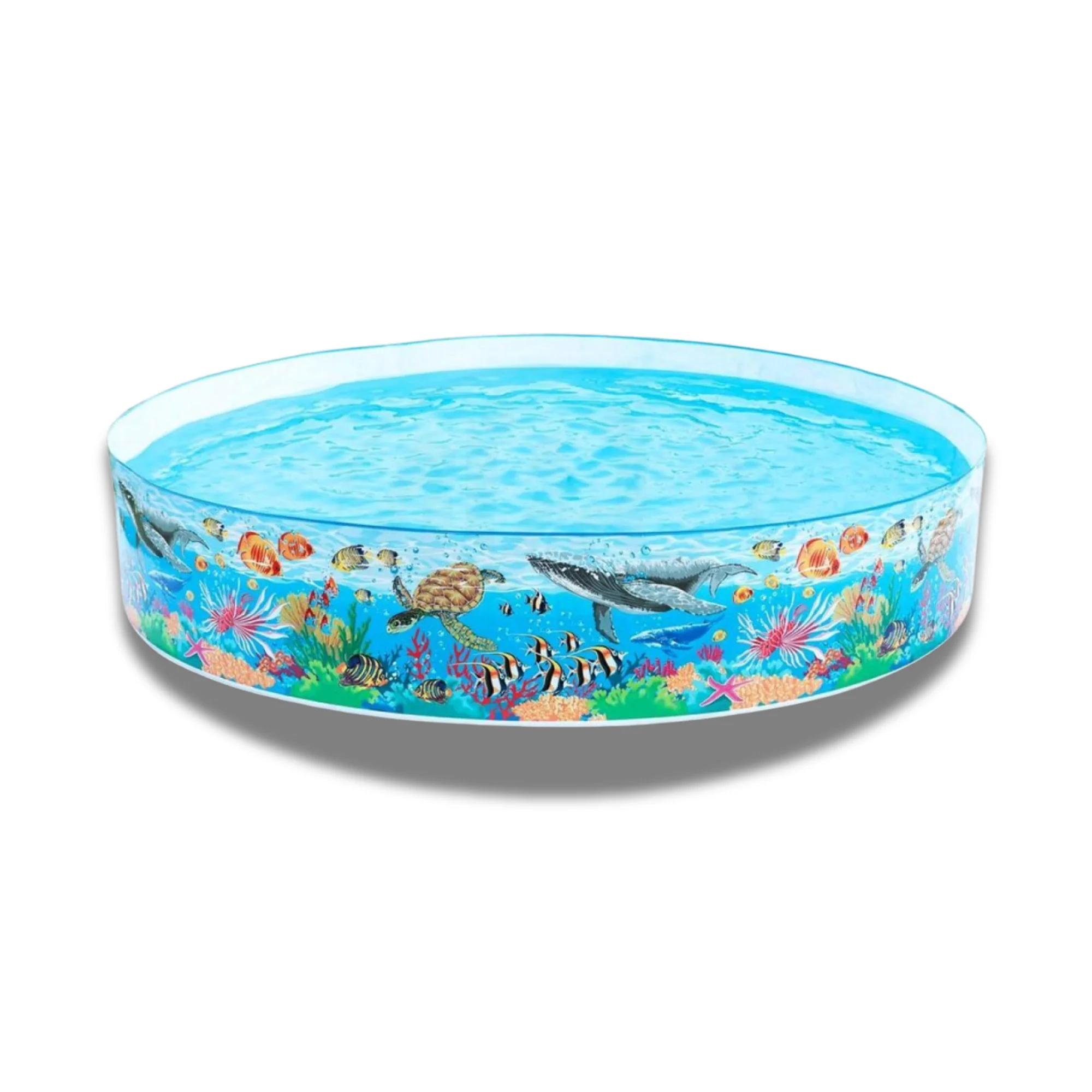 ⁦انتكس مسبح 244 فايبر  58472⁩ - الصورة ⁦2⁩